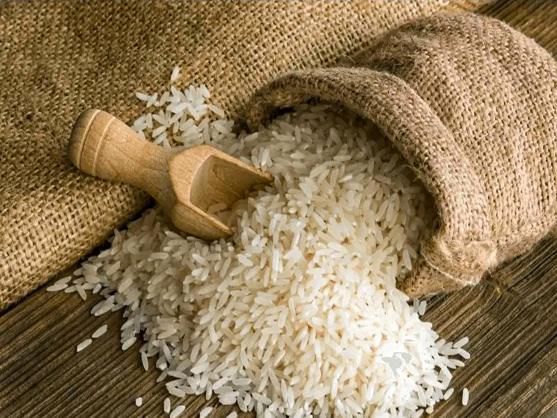 RICE (NON-BASMATI)